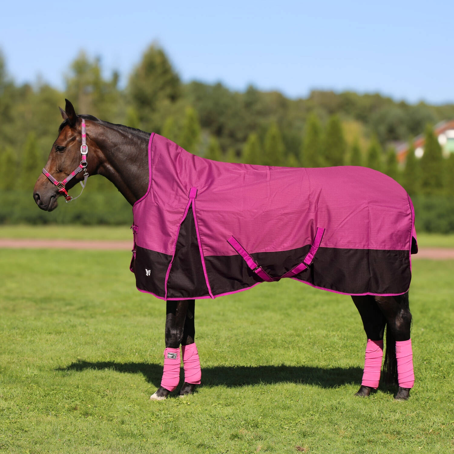 Derka przeciwdeszczowa York ESKIMO High Neck 100g padokowa - zdjęcie 1